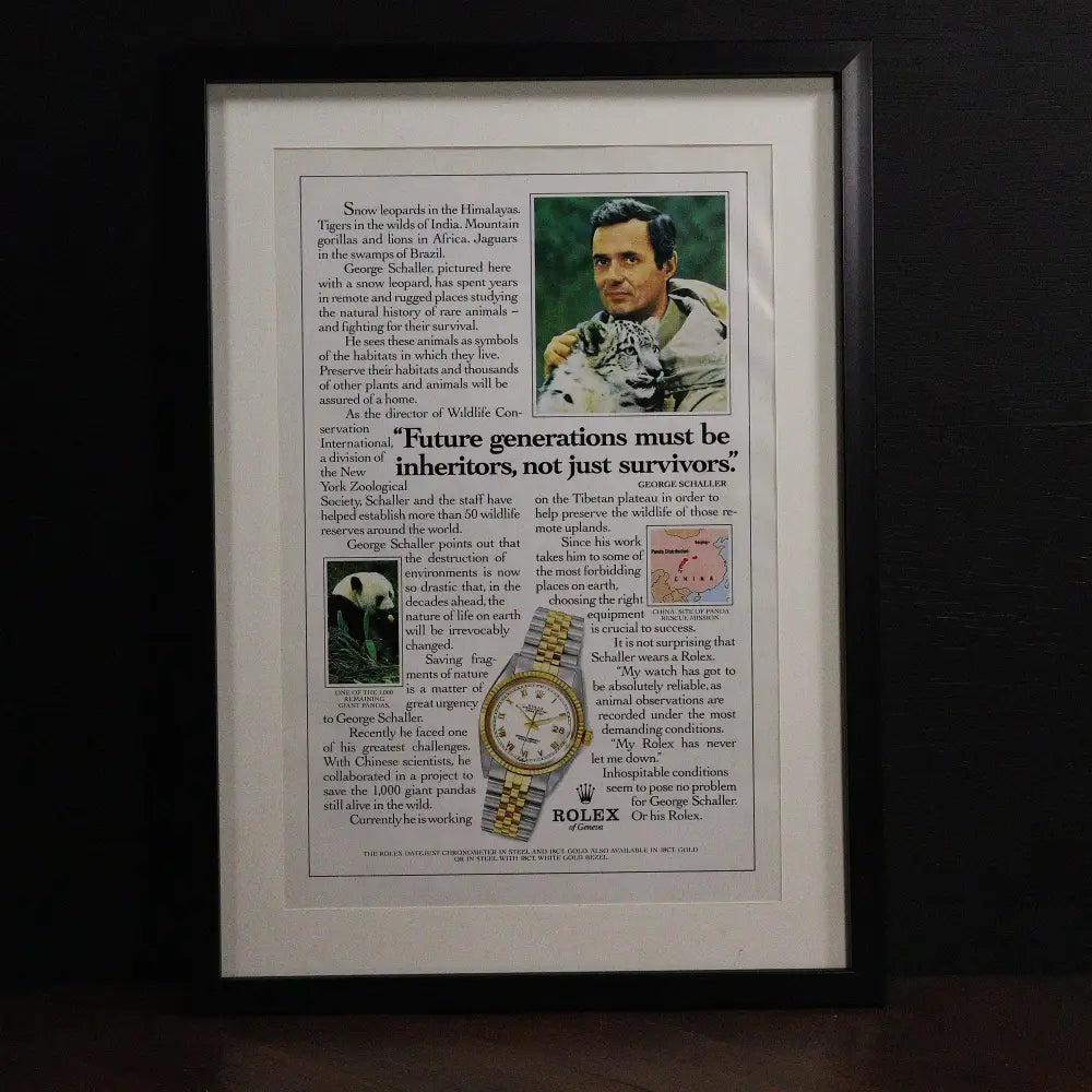Vintage Rolex Datejust advertentie - Lifestyle - Horlogerieshop.nl